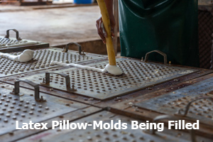 Latex Pillow-Mold