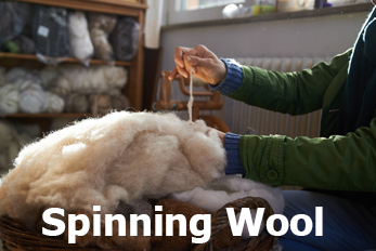 Spinning Wool